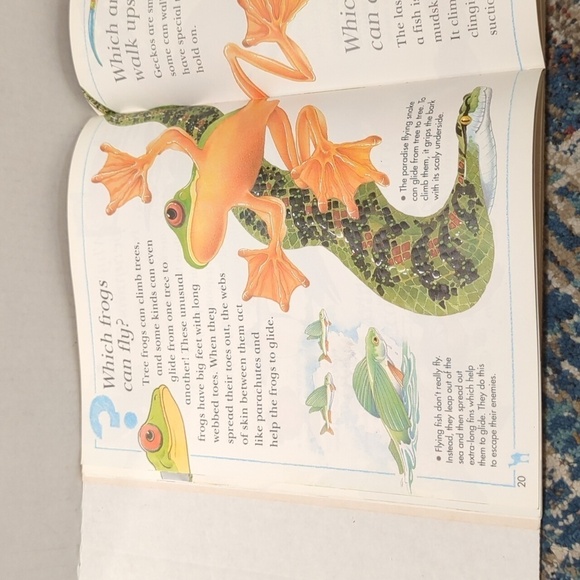 I Wonder Why Paperback Book Set of 3 Books Non Fiction - Used - Picture 6 of 8